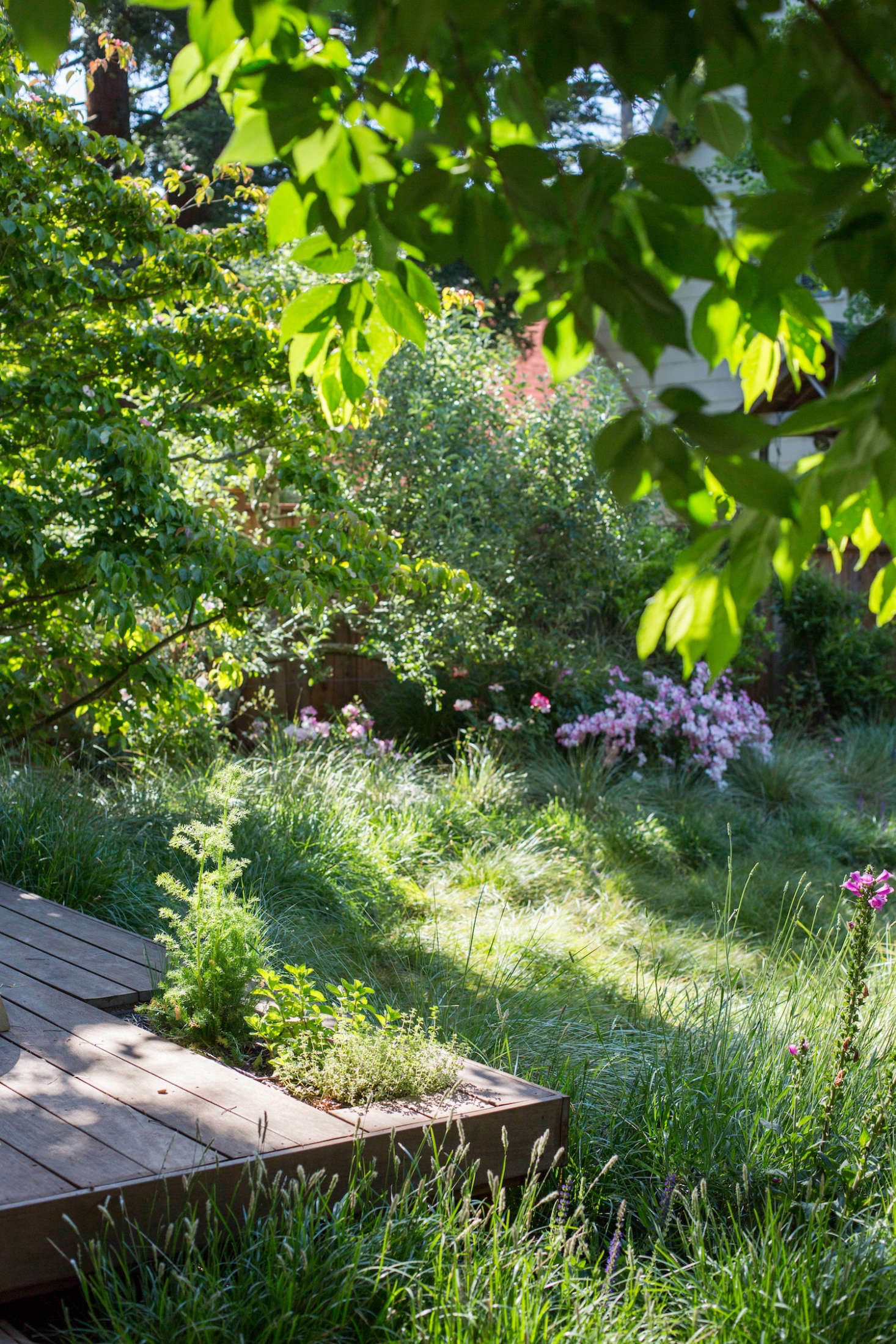 Strawberries and herbs grow in planting beds on the corners of the wooden platform.