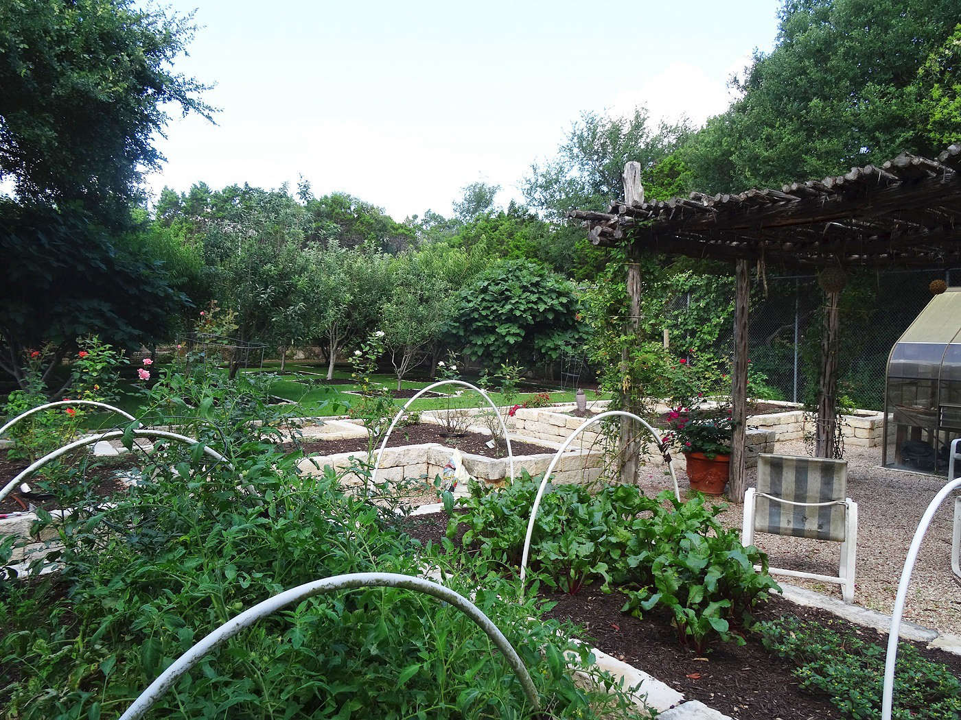 Tait Moring Landscape Architect submitted this Orchard and Vegetable Garden in Westlake Hills, Texas, which was chosen by Rita Konig: 