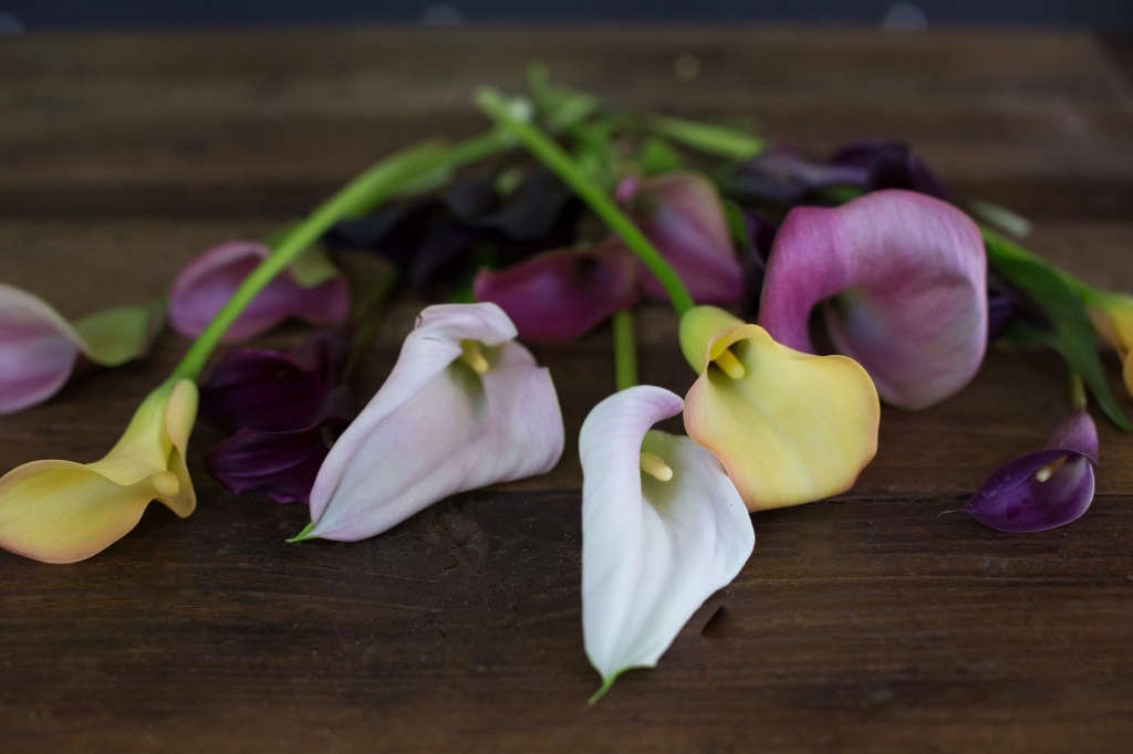 Calla Lily Rethinking a Bridal Bouquet Flower Gardenista