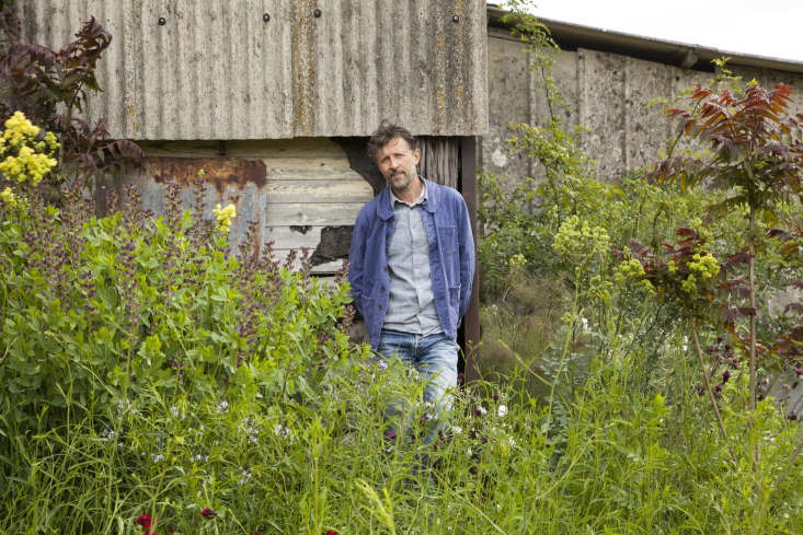 Dan Pearson in his Somerset garden.