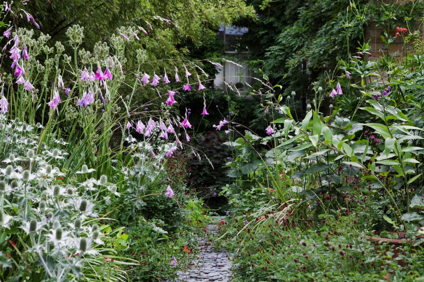 Natural Selection A Year in the Garden by Dan Pearson Gardenista