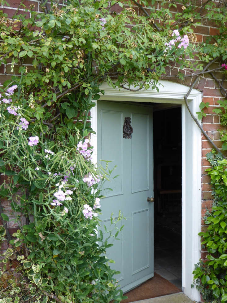  The south-facing side of the cottage, which looks onto the garden, is generously swathed with climbing roses, honeysuckle, wisteria, and perennial sweet peas which elegantly arch over the most used door into the garden.