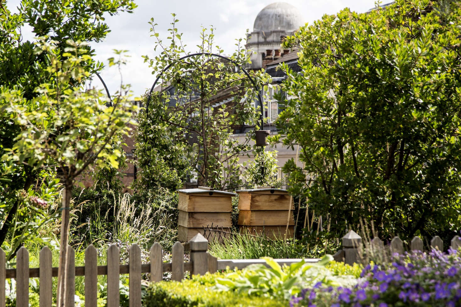 Ham Yard Hotel A Roof Garden Oasis in Central London Gardenista