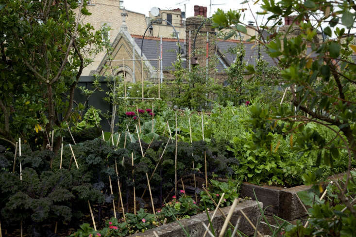  The main area of the vegetable garden is organized around four deep raised beds made from chunky wooden sleepers. Because of the density of the planting, there’s a rigorous feeding regime through the growing season as well as inbuilt irrigation. The soil is mixed with a lightweight volcanic growing medium, which reduces the overall weight on the roof.