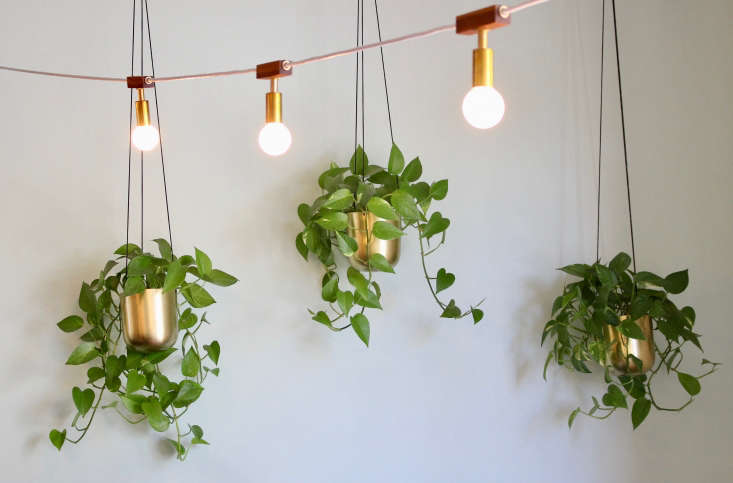 String lights from Hamster conjure a garden patio vibe indoors.