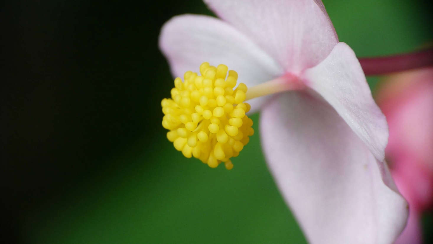 Photograph by Conifer Conifer via Flickr.