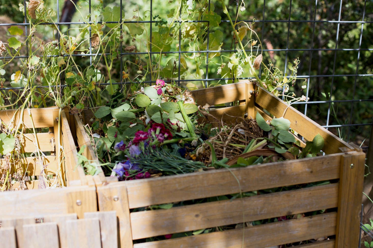 A compost pile in Healdsburg, California. Photograph by Mimi Giboin for Gardenista.