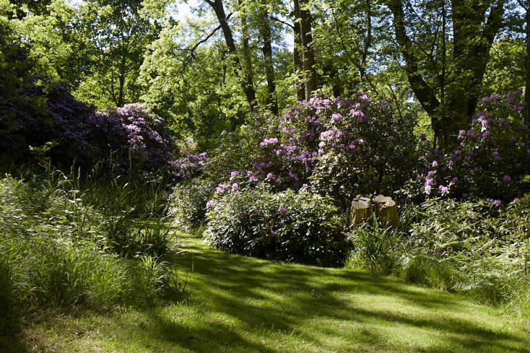 10 Shade Garden Ideas to Steal from an English Woodland Gardenista