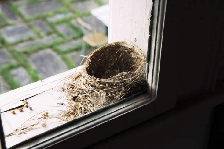 A bird&#8\2\17;s nest on a windowsill.