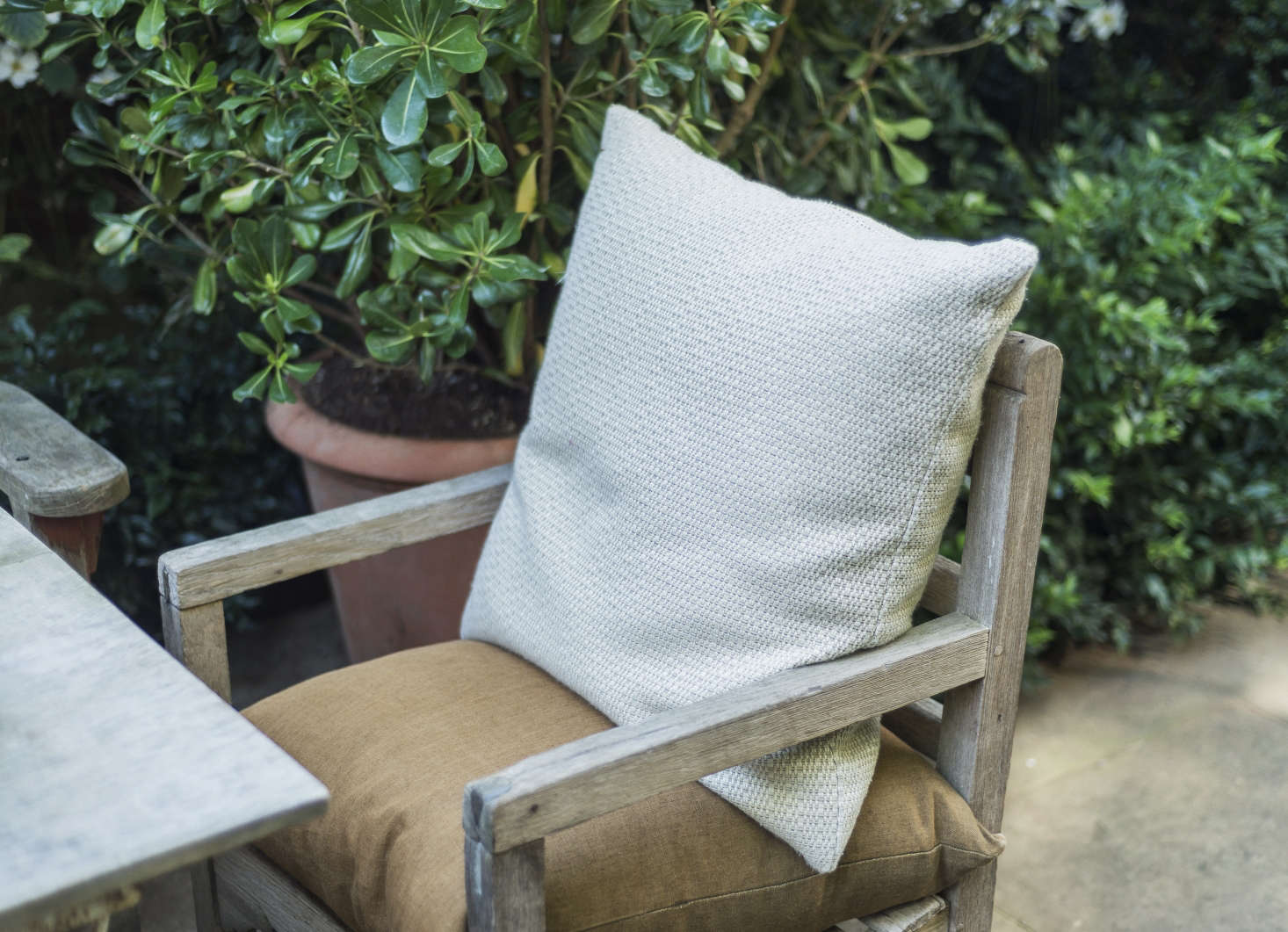 Wicker and rattan might be traditional but there’s no reason not to make a conservatory comfortable with armchairs or an antique chaise for an English country house feel. When the weather is warm, the chairs can be rolled outside for lazy afternoons. Photograph by Matthew Williams for Gardenista.