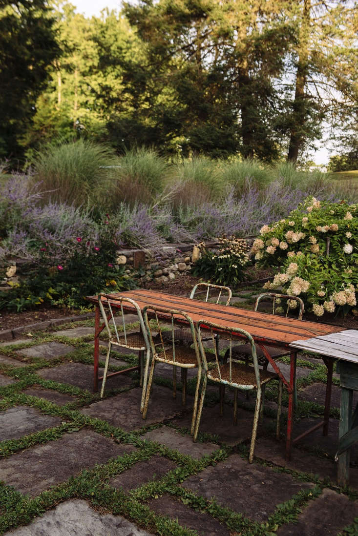 A row of perennial Little Blue Stem Grass serves as a backdrop to the purple Russian sage.