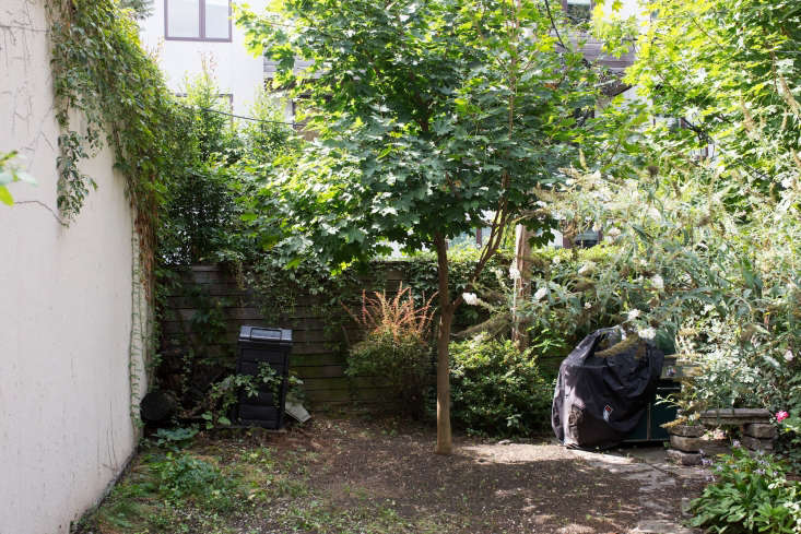 In the back of the yard, hard-packed dirt and overgrowth. Photograph by Lydia Hudgens.