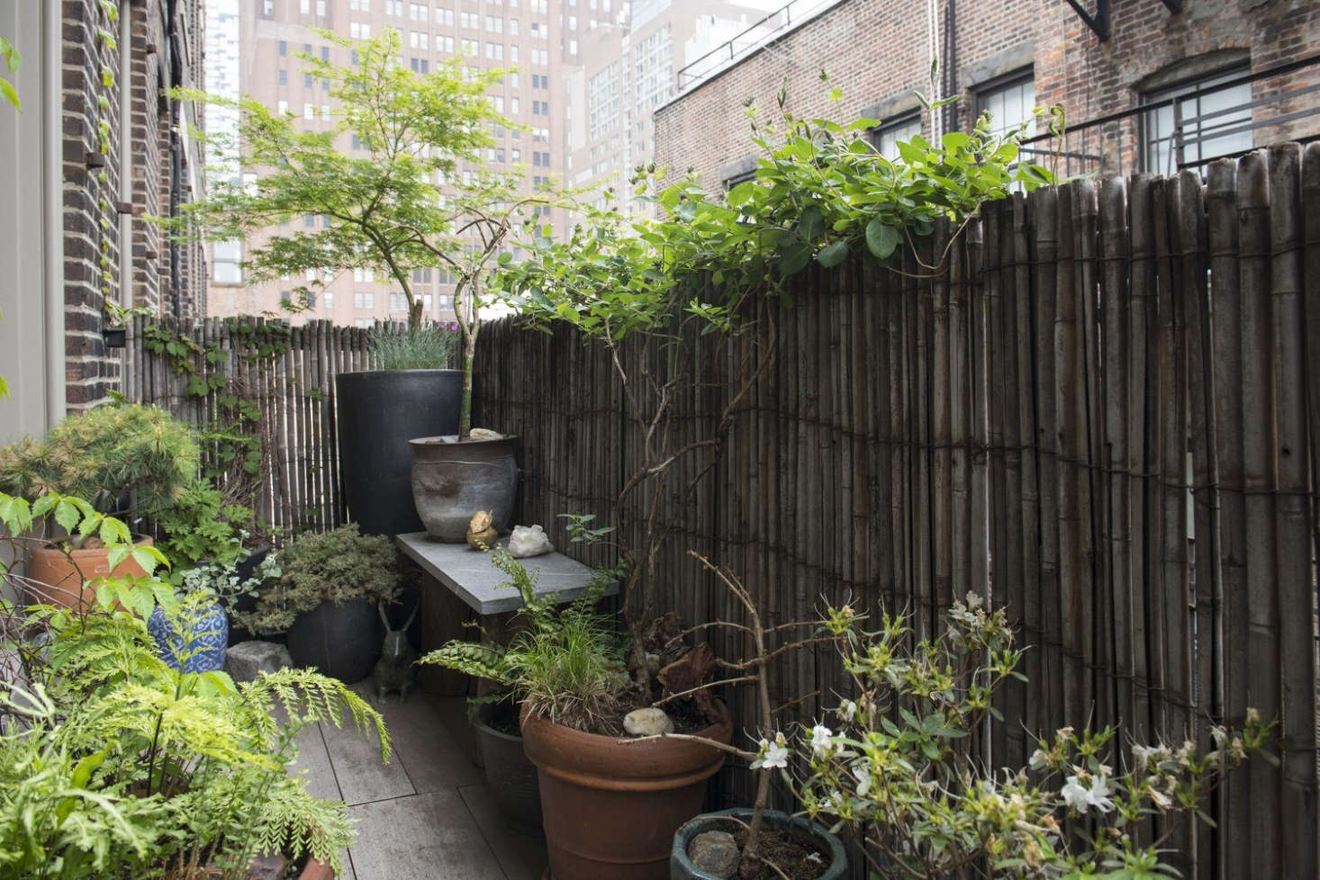 Mix-and-match planters create layers of interest against a bamboo fence on a Soho fire escape.