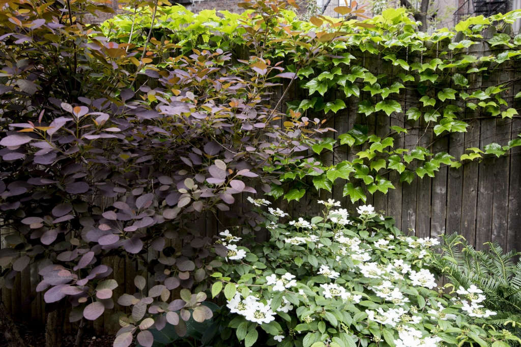 Rental Garden Makeovers: 10 Best Budget Ideas for an Outdoor Space