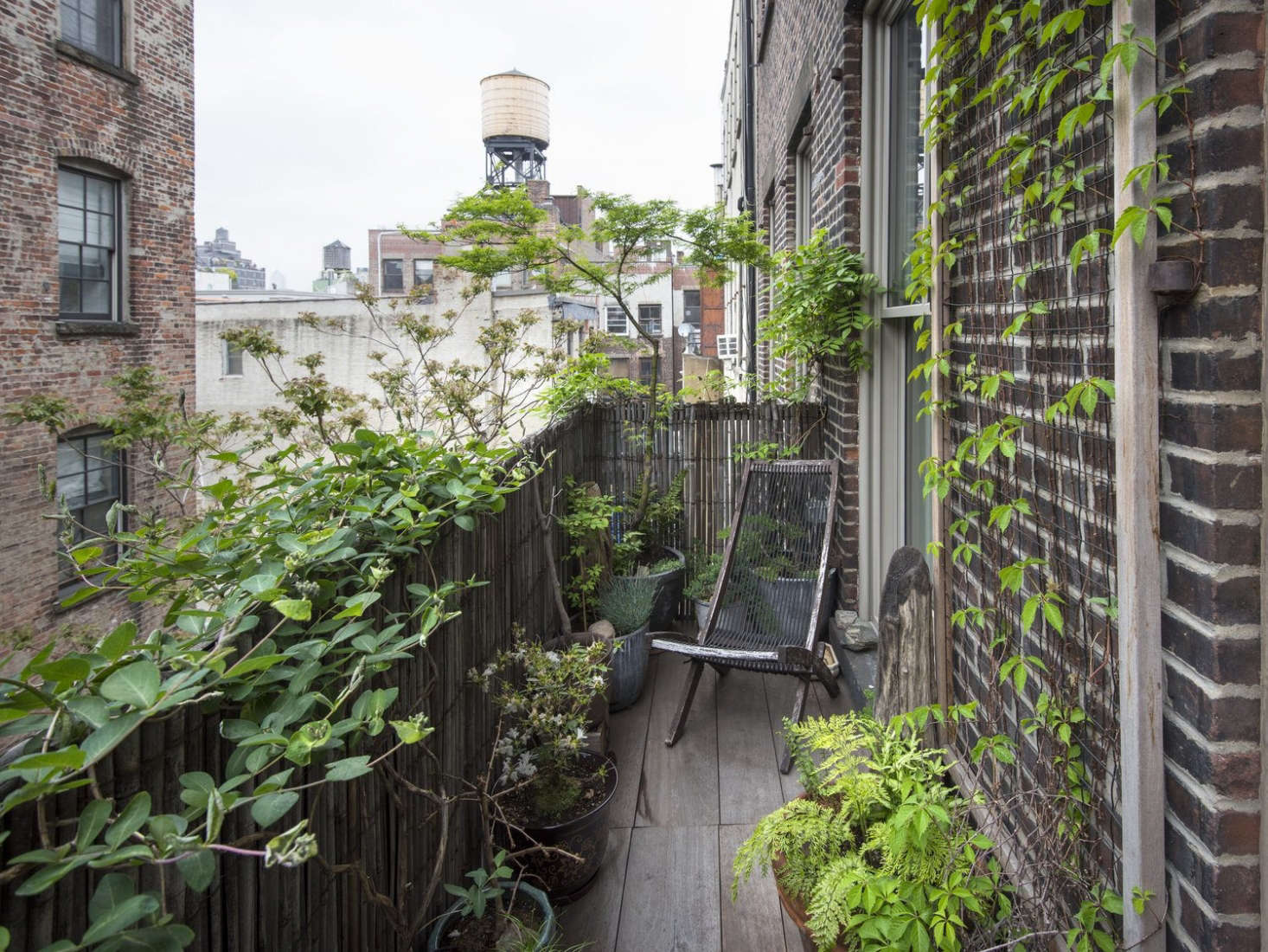 For a Soho fire escape garden, Brook created a sense of seclusion in the middle of the city by planting fast-growing vines.