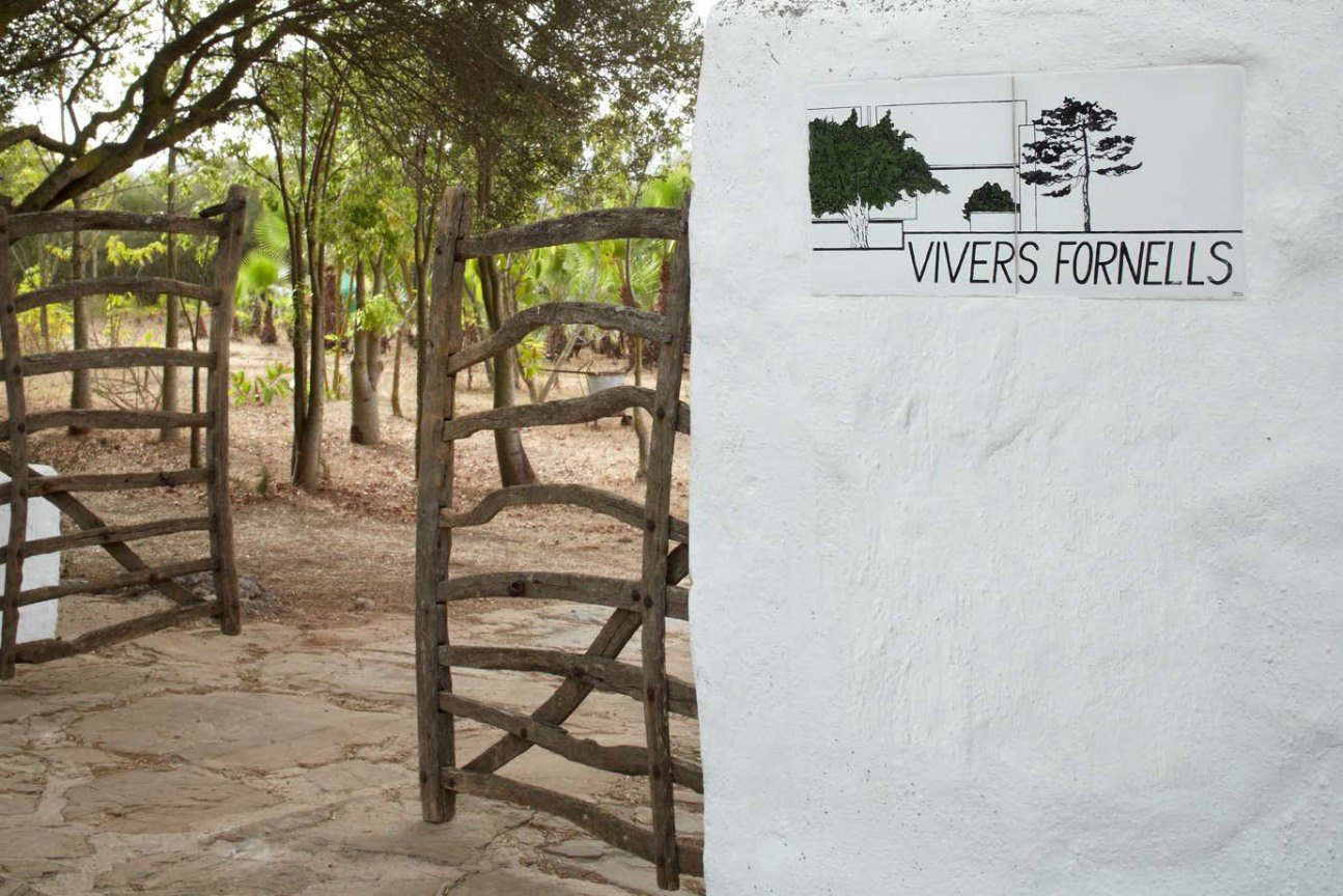 Rustic gates and the original stucco wall mark the entrance. 