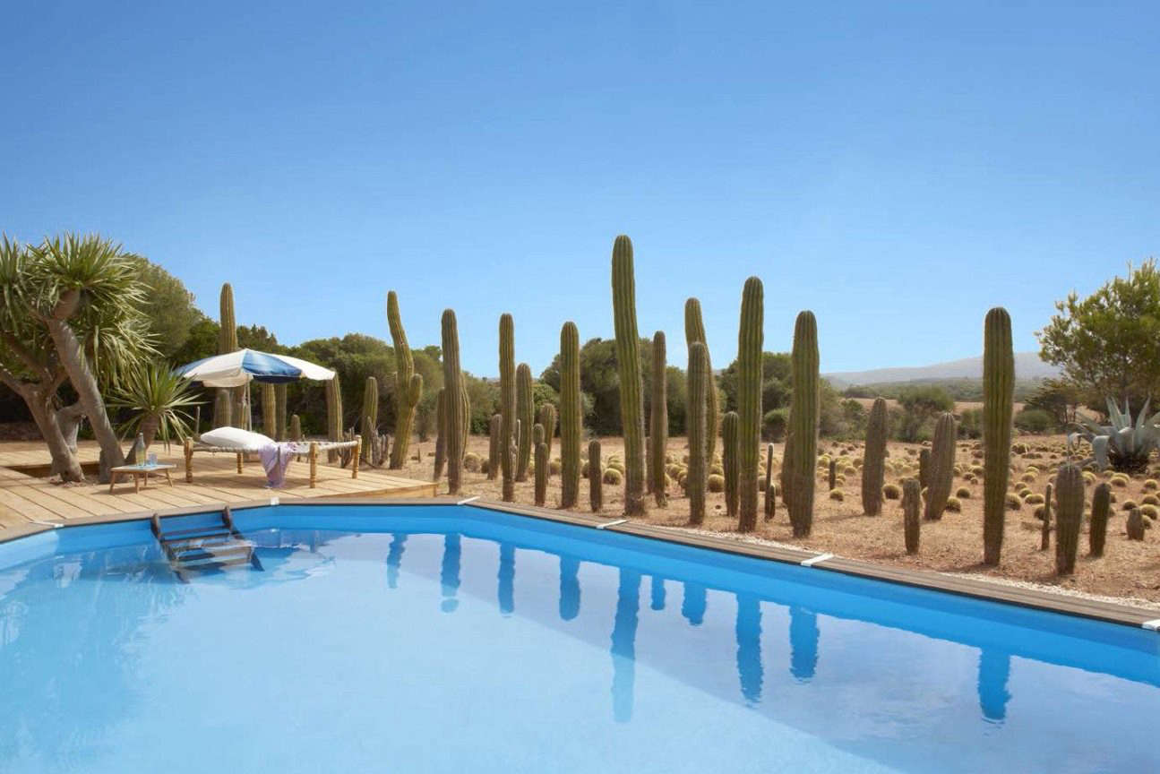 Quintana Partners installed a swimming pool at the bottom of a field and edged one side with a cactus border.