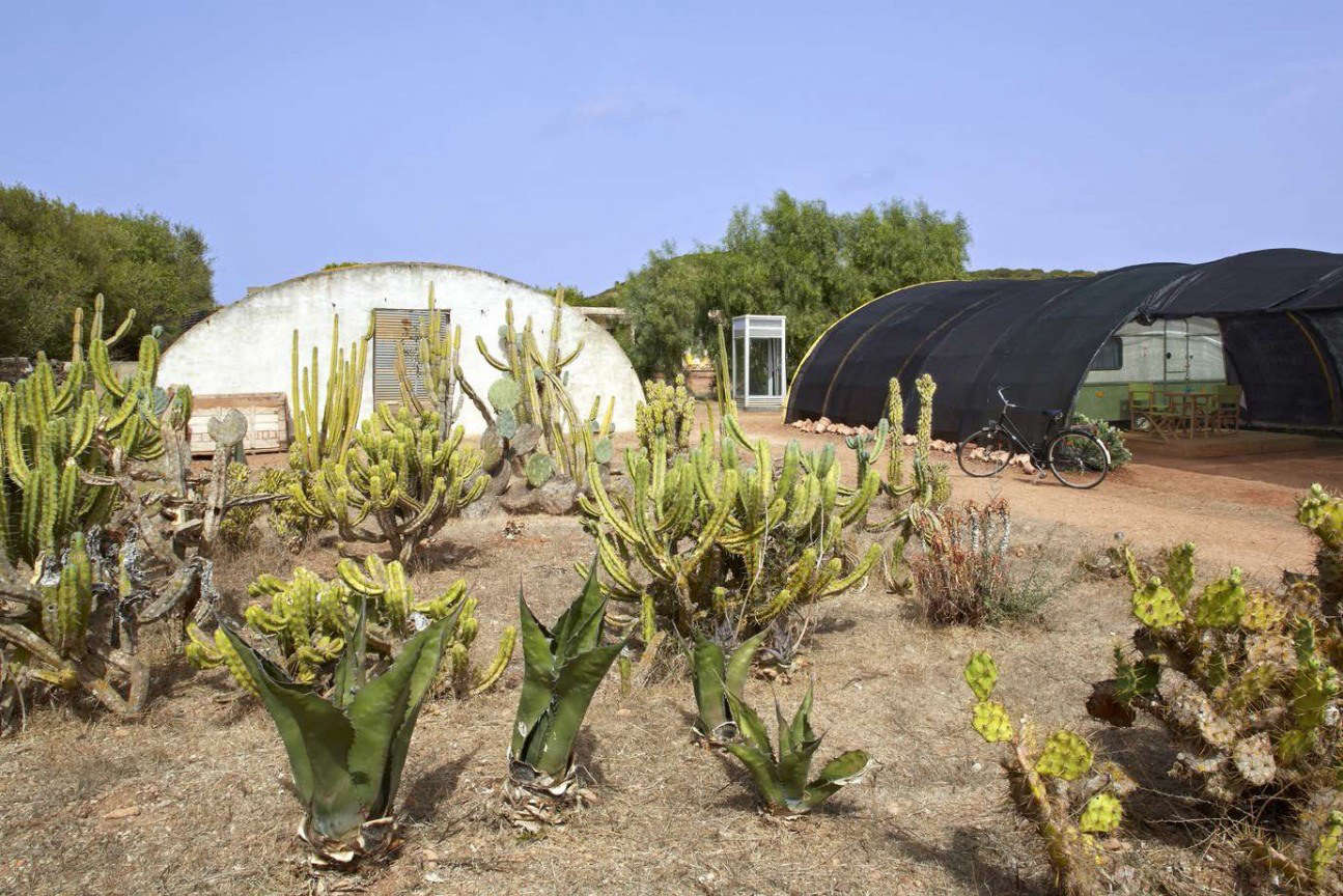 Agaves, prickly pears, and other succulents grow around quonset hut greenhouses.