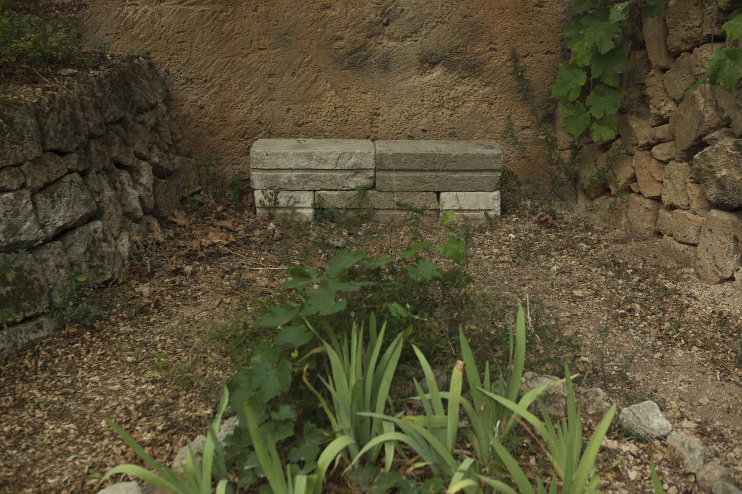 With raw materials like these, the hardscaping becomes the garden. Nonetheless, vines and irises thrive in the dry bed marked out by rough stones.