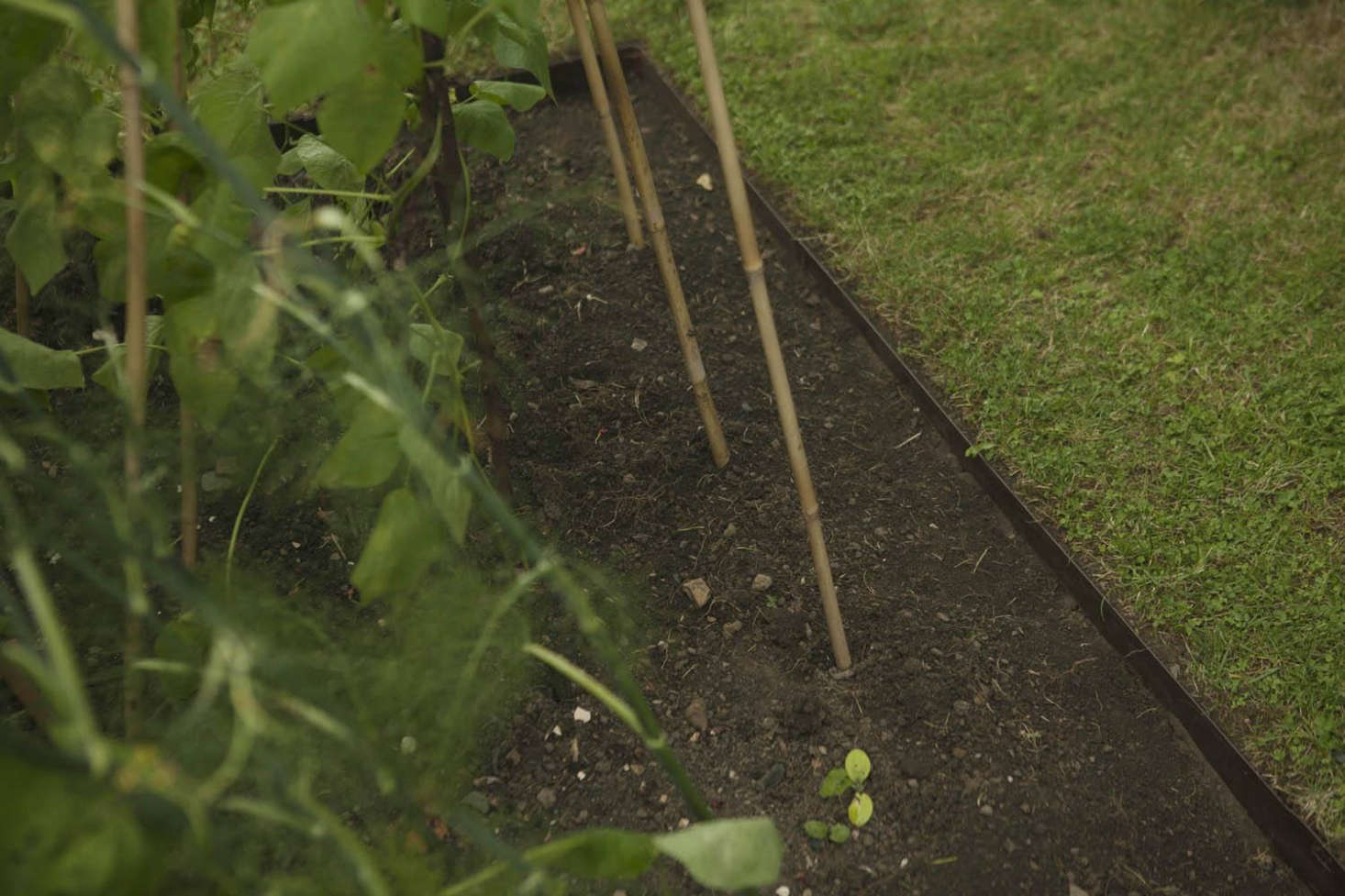 Lawnmowers cut straight over, when the edges are reinforced.