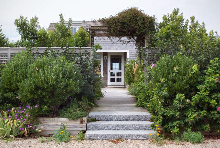 At the end of the drive, an abundant border garden of bayberry, inkberry, and Rosa rugosa, mixed with perennials, not only creates a lush transition, it also obscures the parking area from the house.