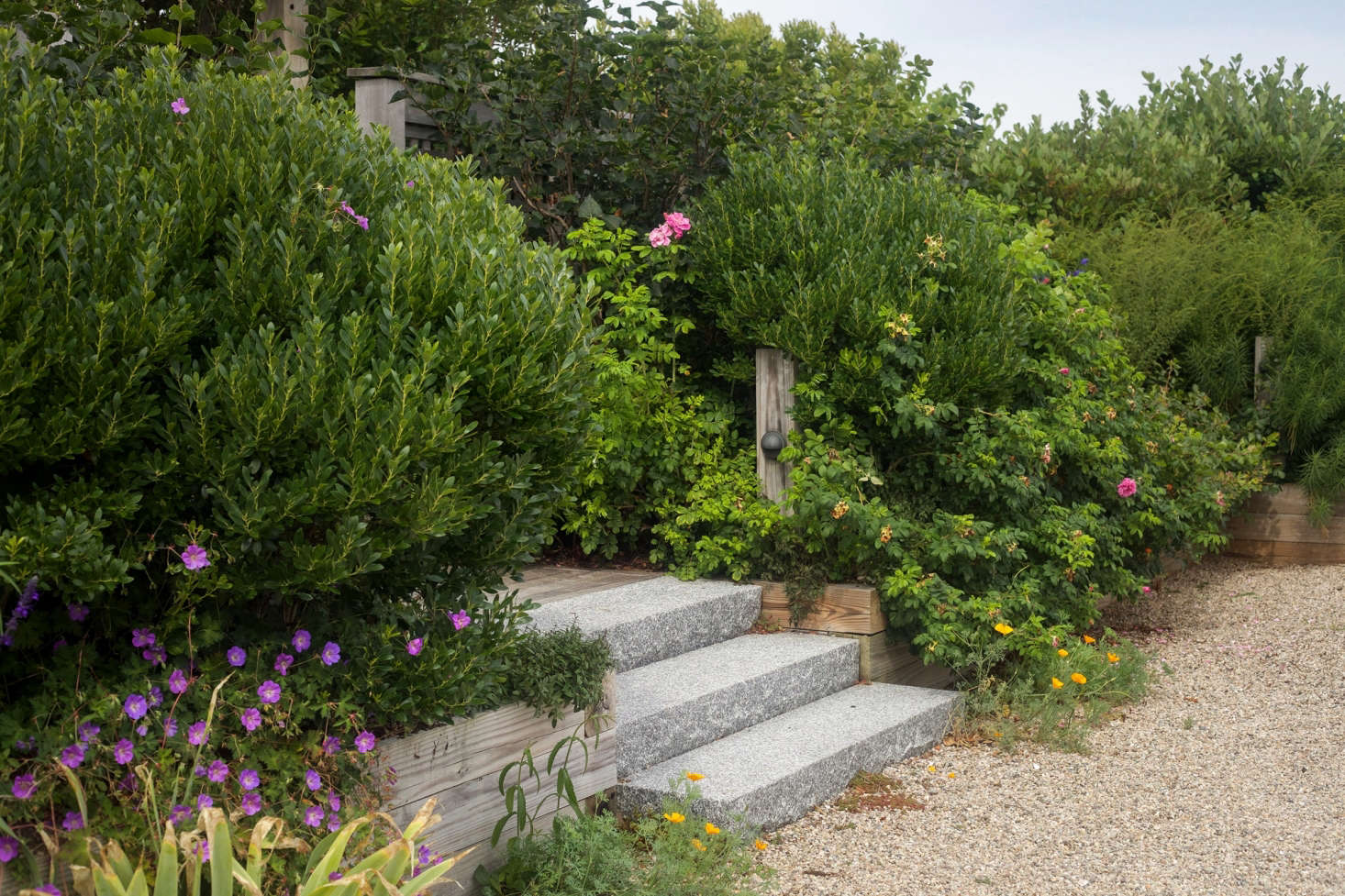 Tim is a big fan of letting good plants do their thing, allowing them to merge into each other to create a textured tapestry. 