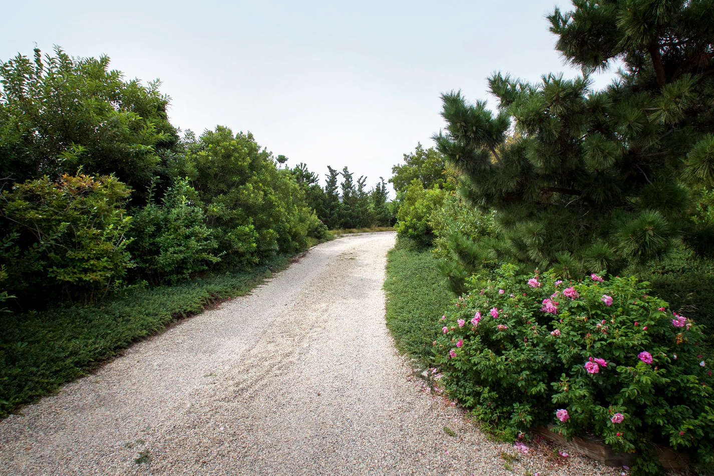 Though the driveway plantings look as if they