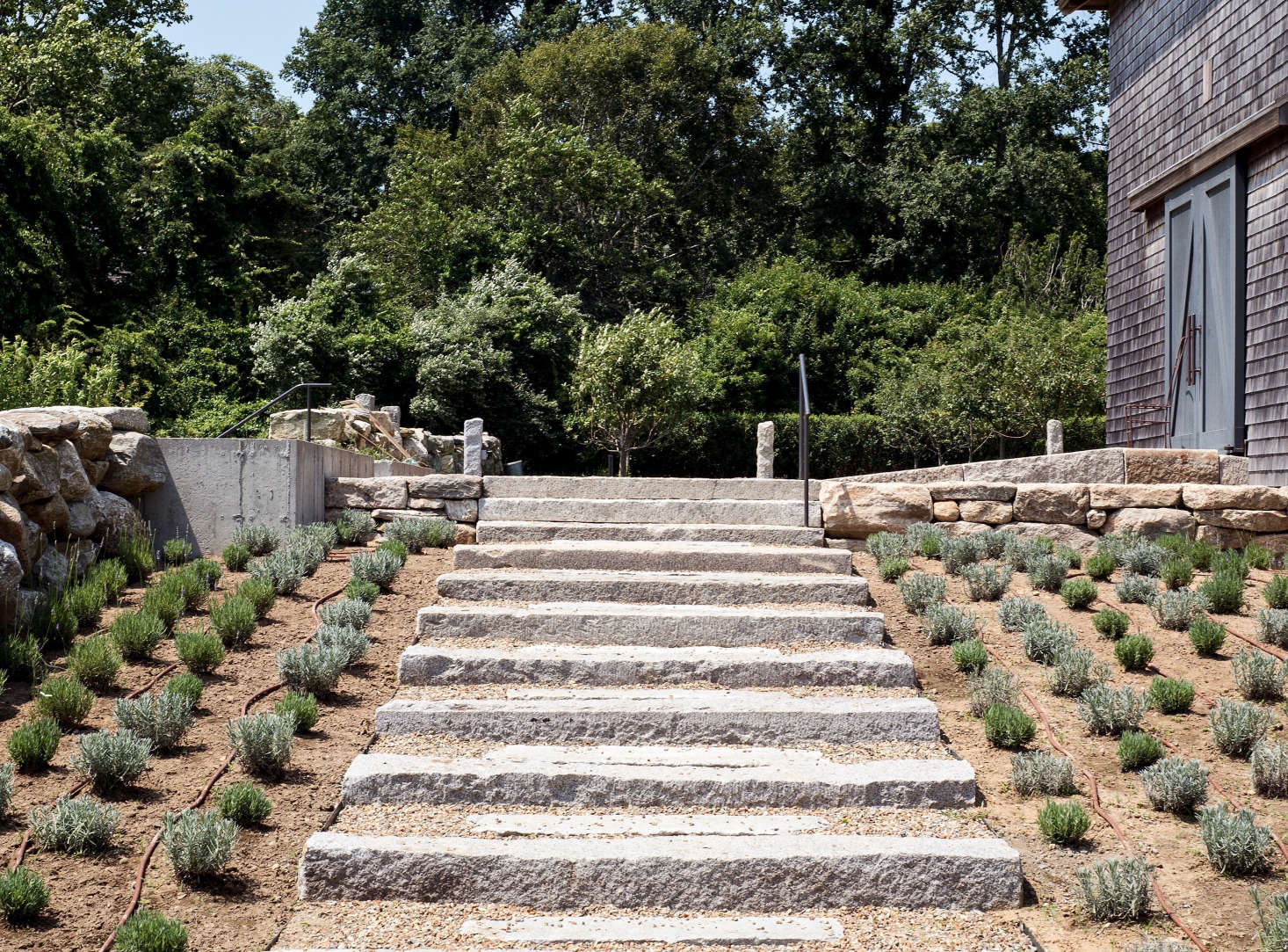 Photograph by Matthew Williams, from Your First Garden: What You Need to Know About Topsoil.