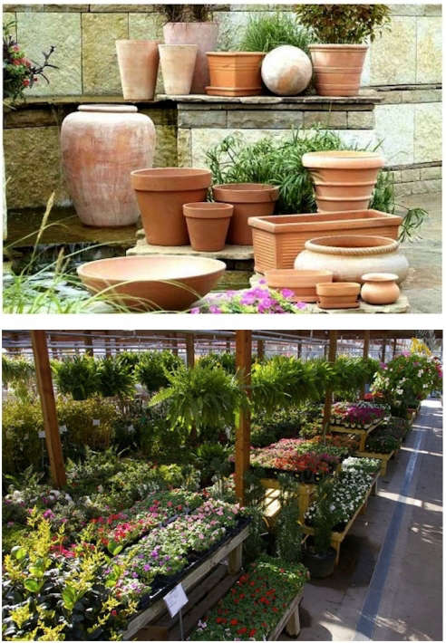 Jackson's Home and Garden - Gardenista
