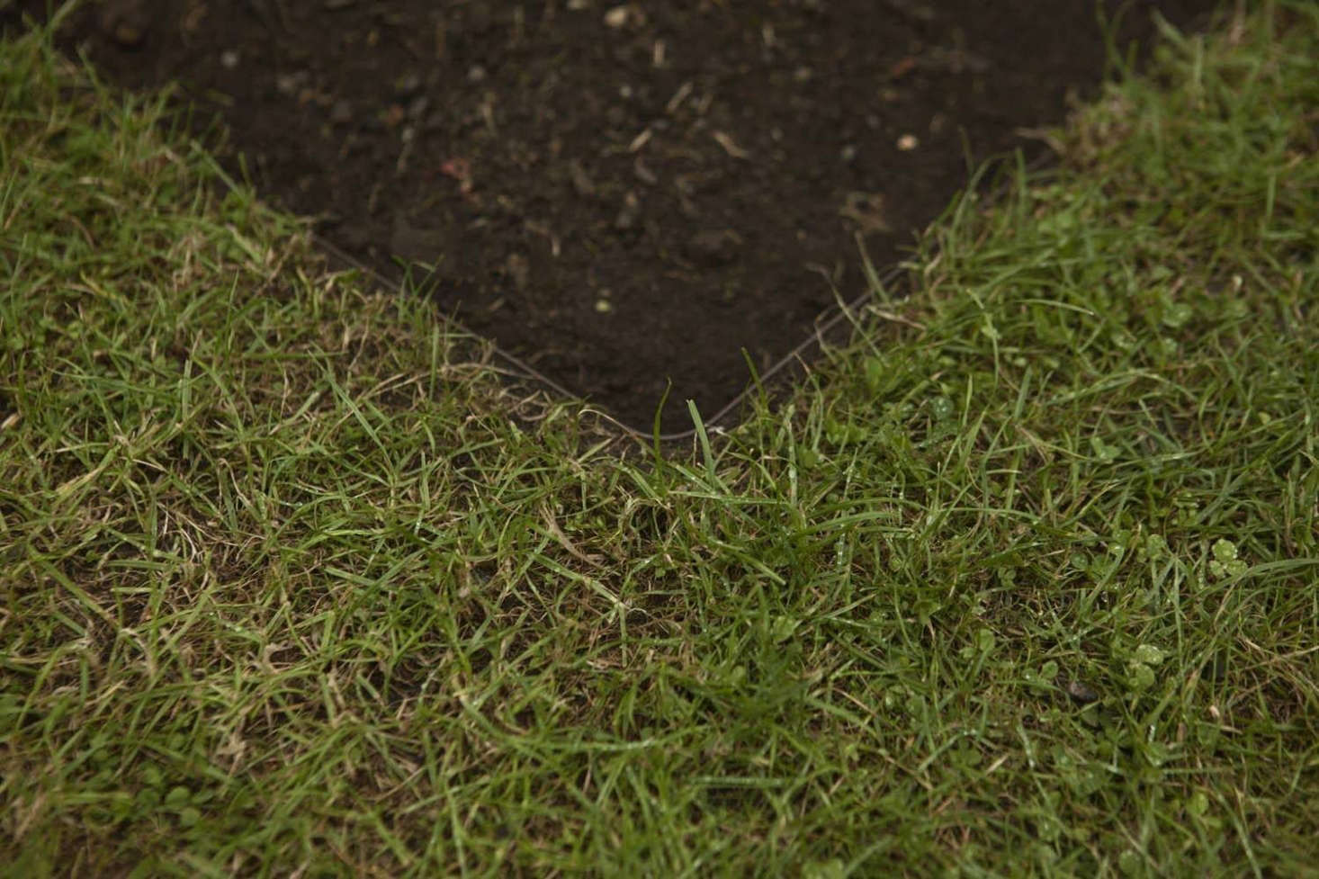 Straight or curved, this metal landscape edging is easy to assemble, according to the resident vegetable grower at my house.