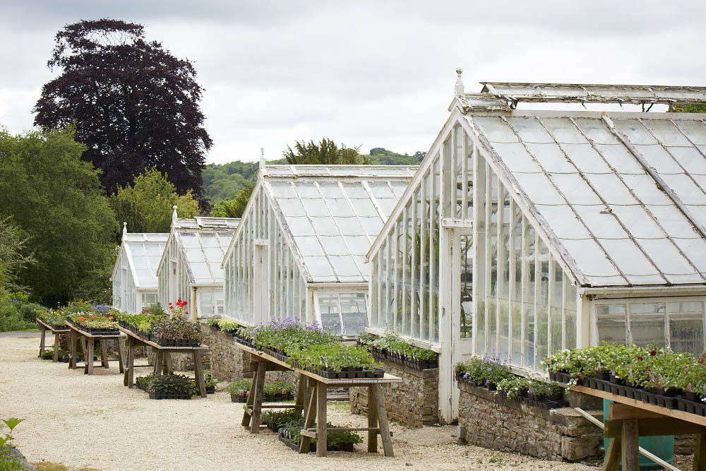 See more plants from Miserden Nursery in Everything You Need to Know About Cottage Gardens. Photograph by Britt Willoughby Dyer.