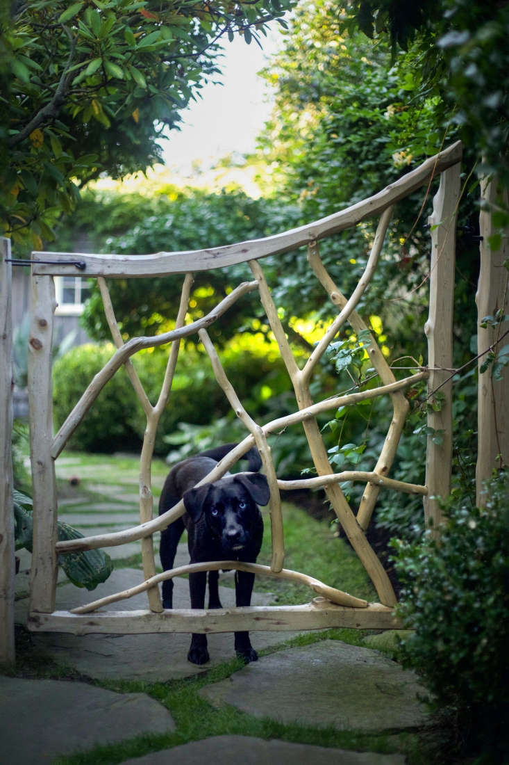 Along the side path leading from the front yard, a stripped cedar gate—designed by Philip and built by Frank Hamm—keeps Sam safely in the back garden.