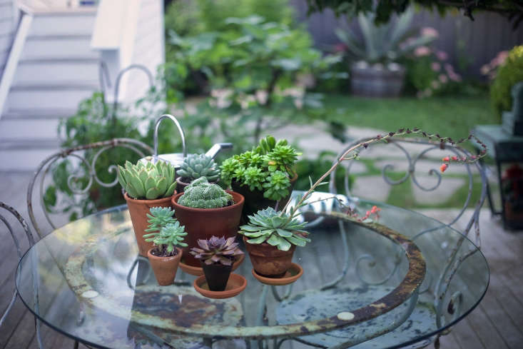 On a vintage French bistro table, a collection of succulents creates a centerpiece that withstands the summer sun.