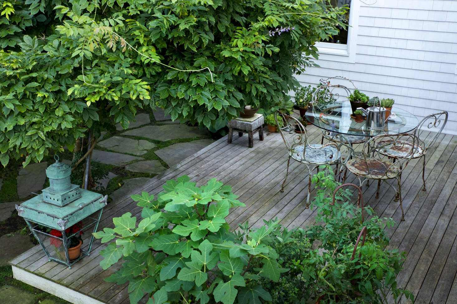 Before & After: A New Cape Cod Garden for the Old Homestead in