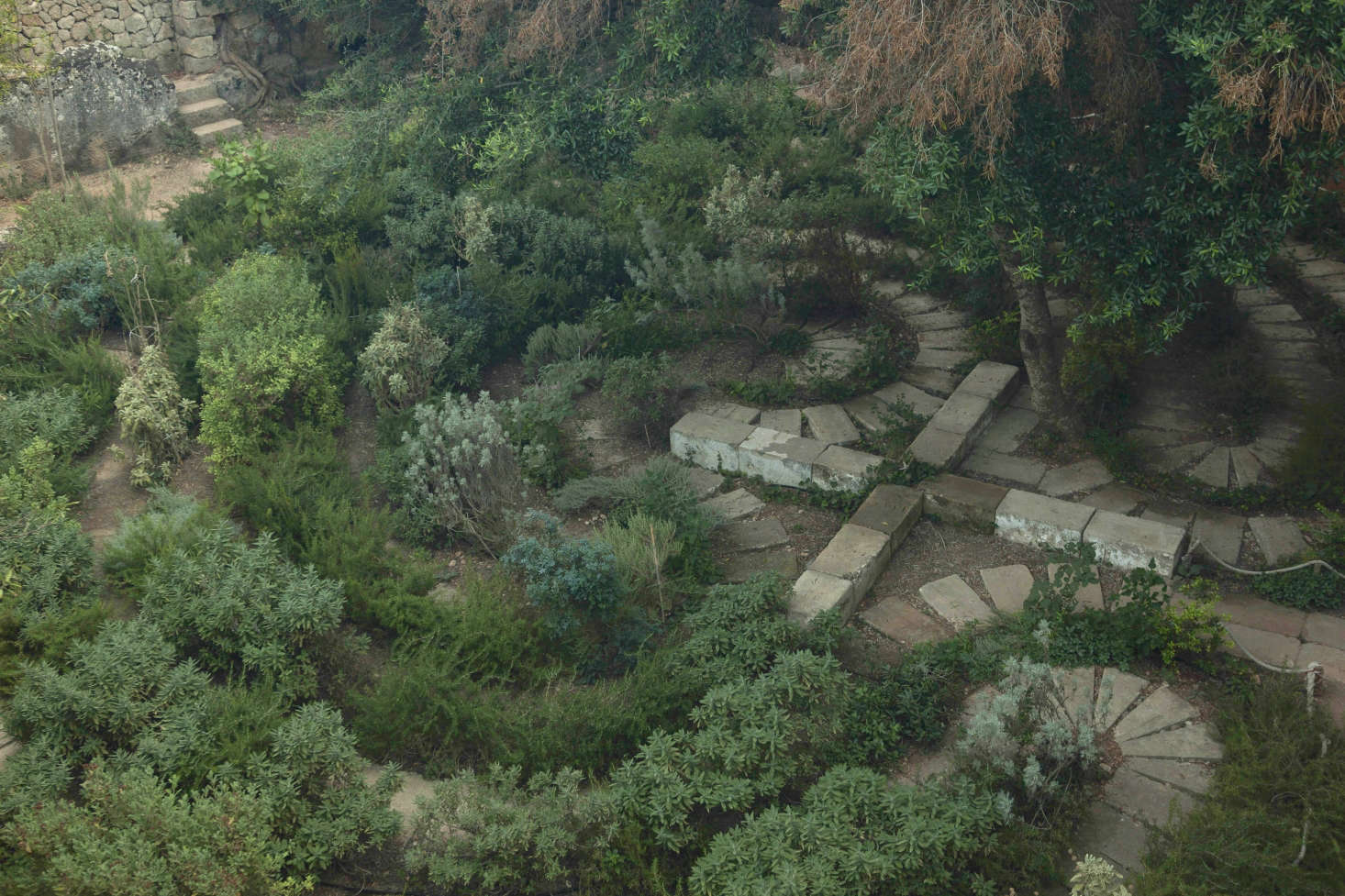 The herbal labyrinth; a new garden developed from an abandoned market garden, with walled protection from the elements.