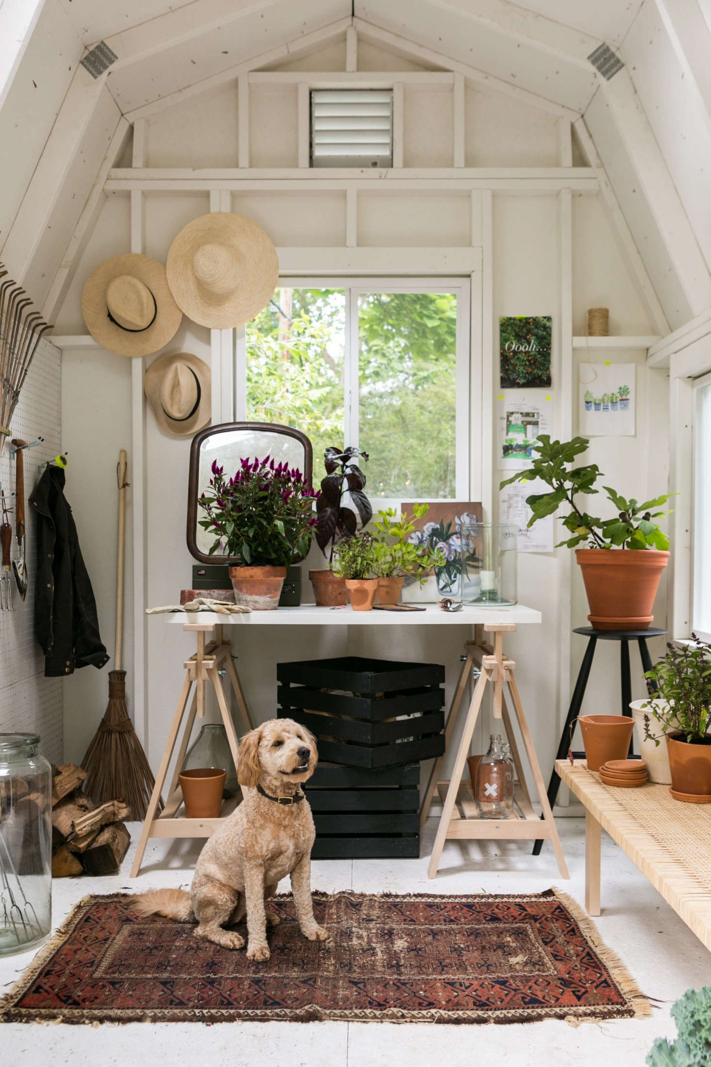 In the shed, Adams created a command center with Ikea