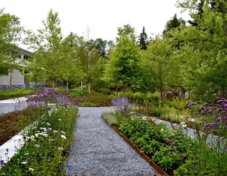 An homage to the designs of \20th-century landscape architect Beatrix Ferrand, an edible garden has gravel paths to separate linear beds and includes ornamentals such as verbena and dwarf Russian sage.