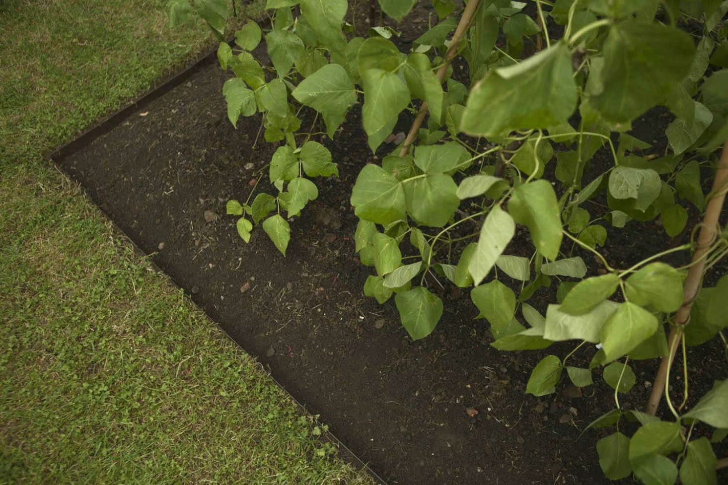 Metal landscape edging stops the creeping tendency of some weeds.