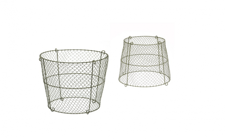 A basket-shaped Reversible Boma Plant Support can be flipped over to use as a cloche; it is £34.99 from Crocus.