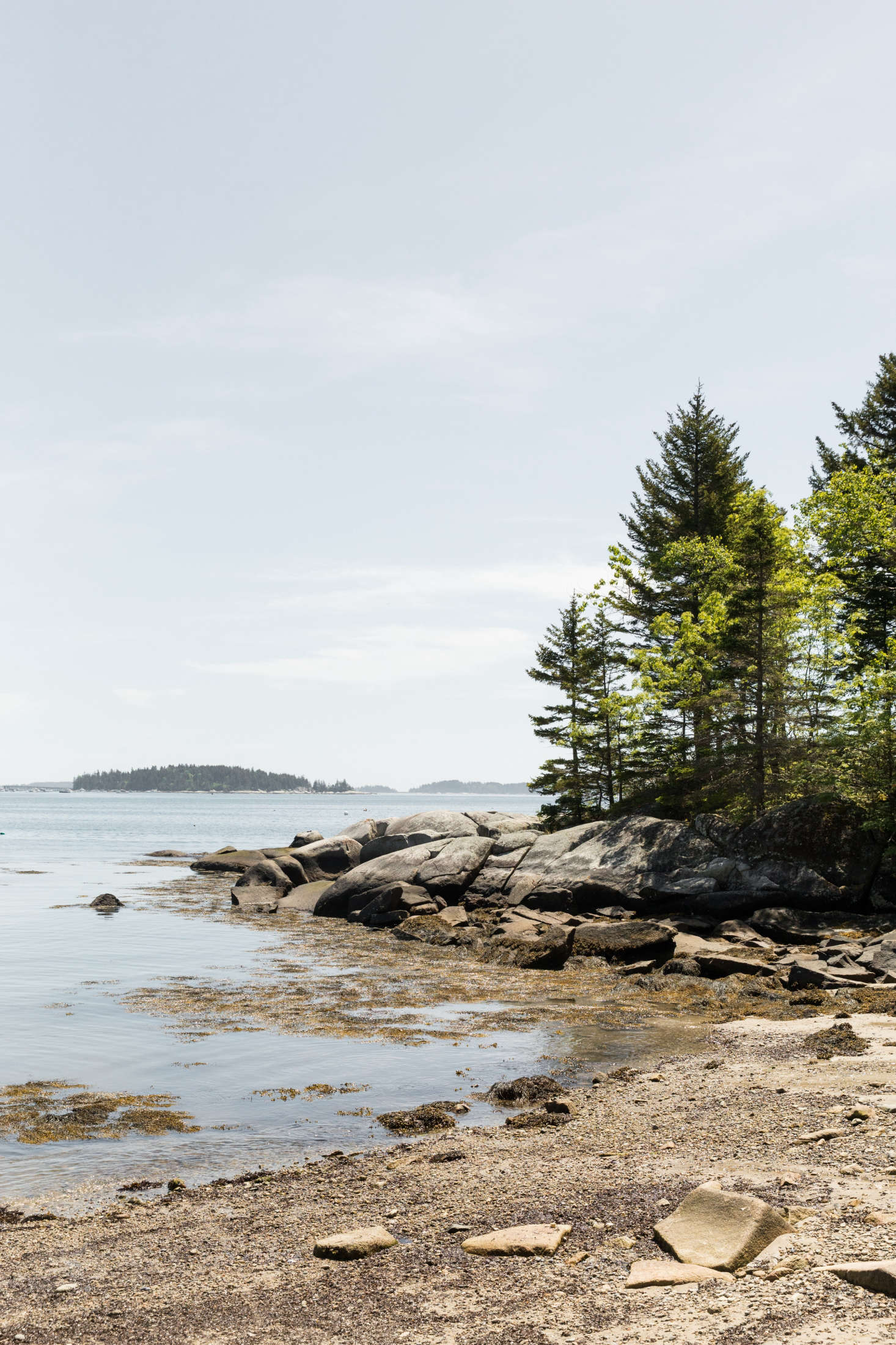 When in doubt, let the existing natural landscape do the work: It needs little added. Photograph from Curb Appeal: A Classic New England Color Palette on Spruce Head in Maine.