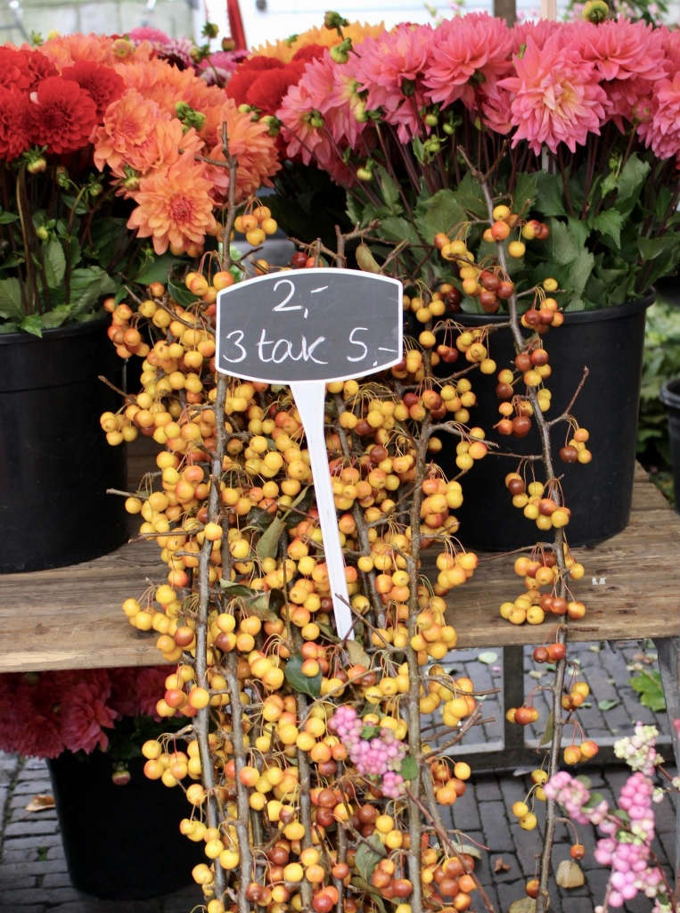Shopper's Diary The Utrecht Flower Market Gardenista
