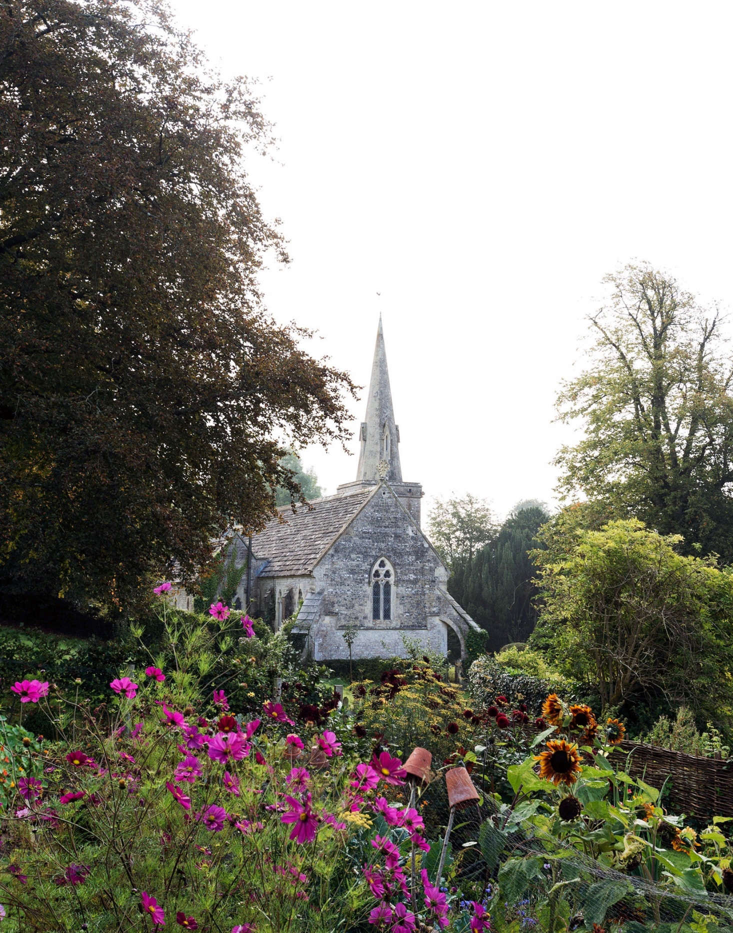 A next-door church spire provides a dramatic backdrop to the flower beds in Pentreath and McCormick