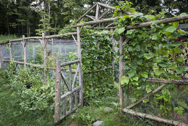 The kitchen garden, fenced against deer if not chipmunks.