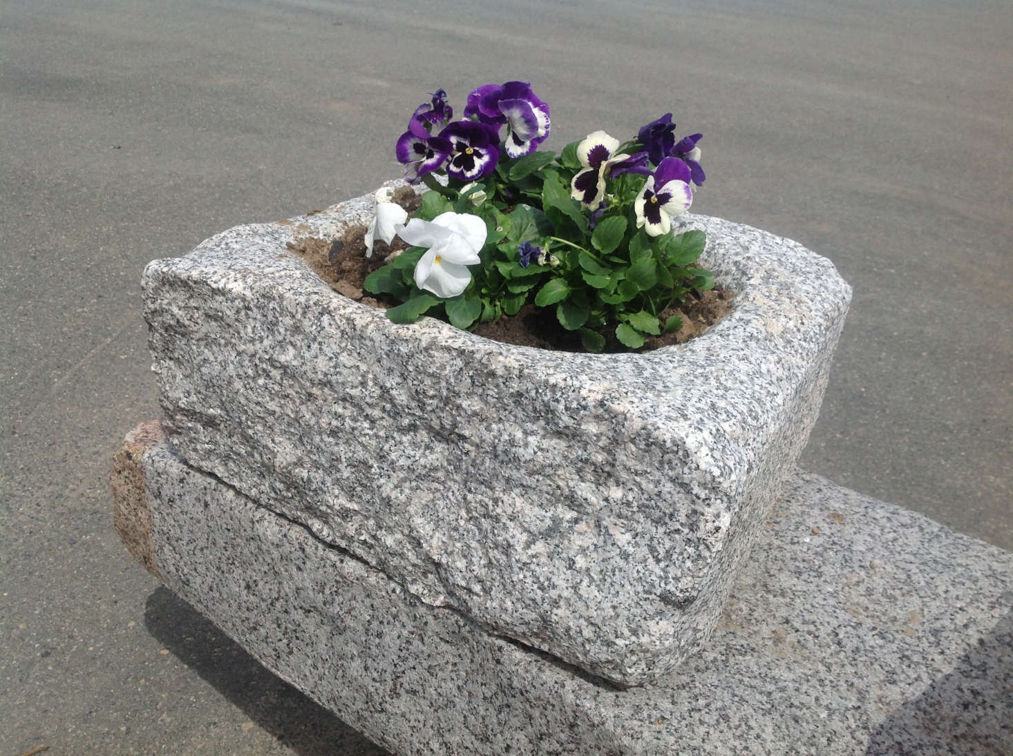 One-of-a-kind Reclaimed Granite Planters are available from Olde New England. For more information and prices, see Olde New England.