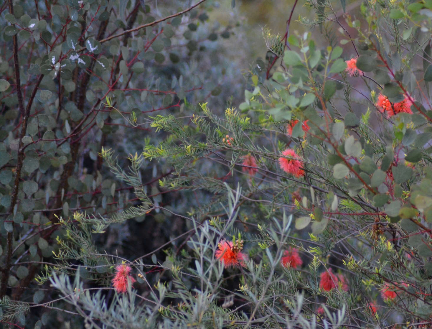 Photograph by Lady Amberelle via Flickr.