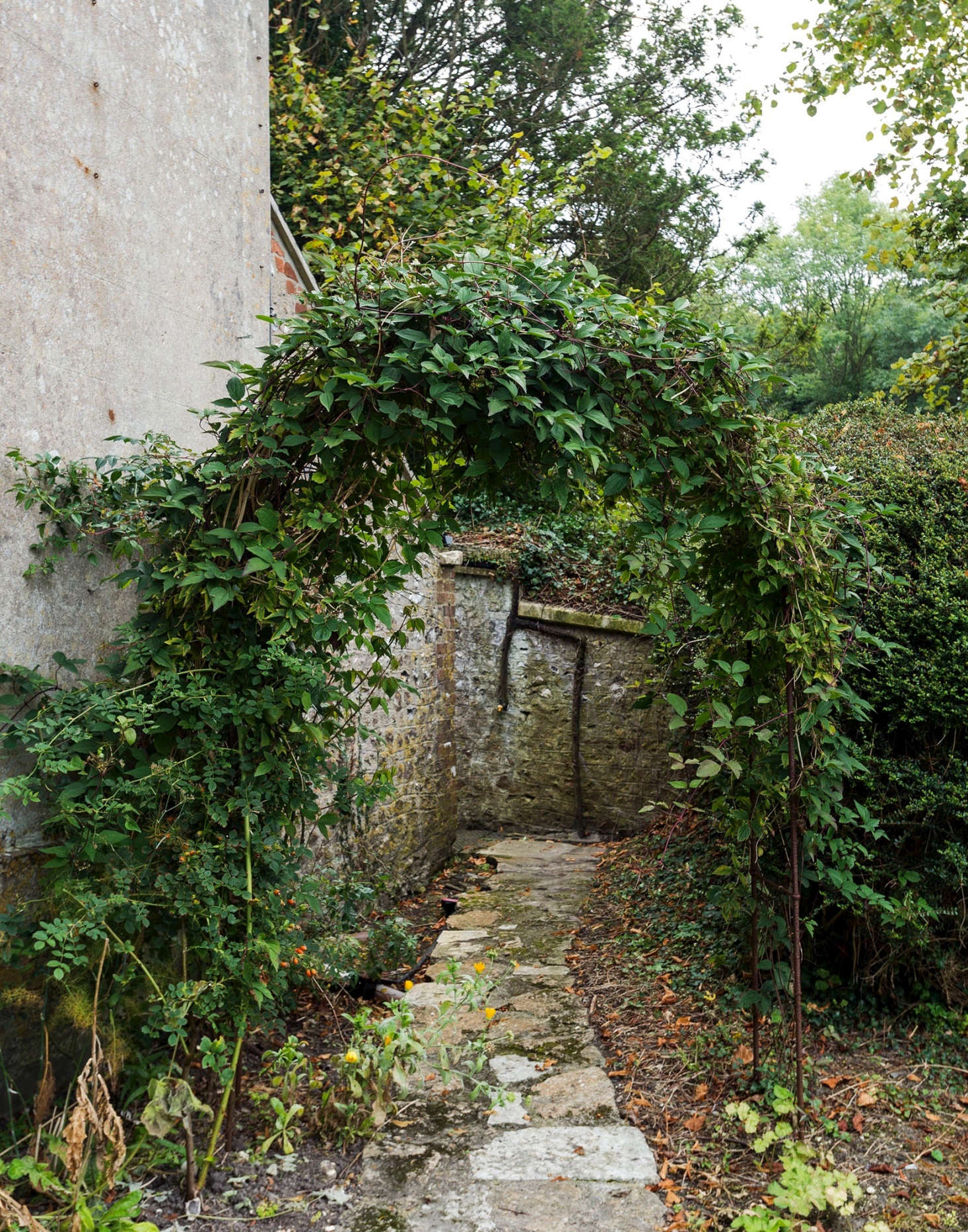A crooked stone path beckons at the edge of Pentreath and McCormick