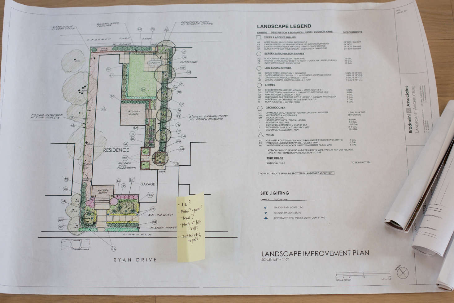 Landscape architects Bradanini Associates designed a low-maintenance garden to provide year-round interest.