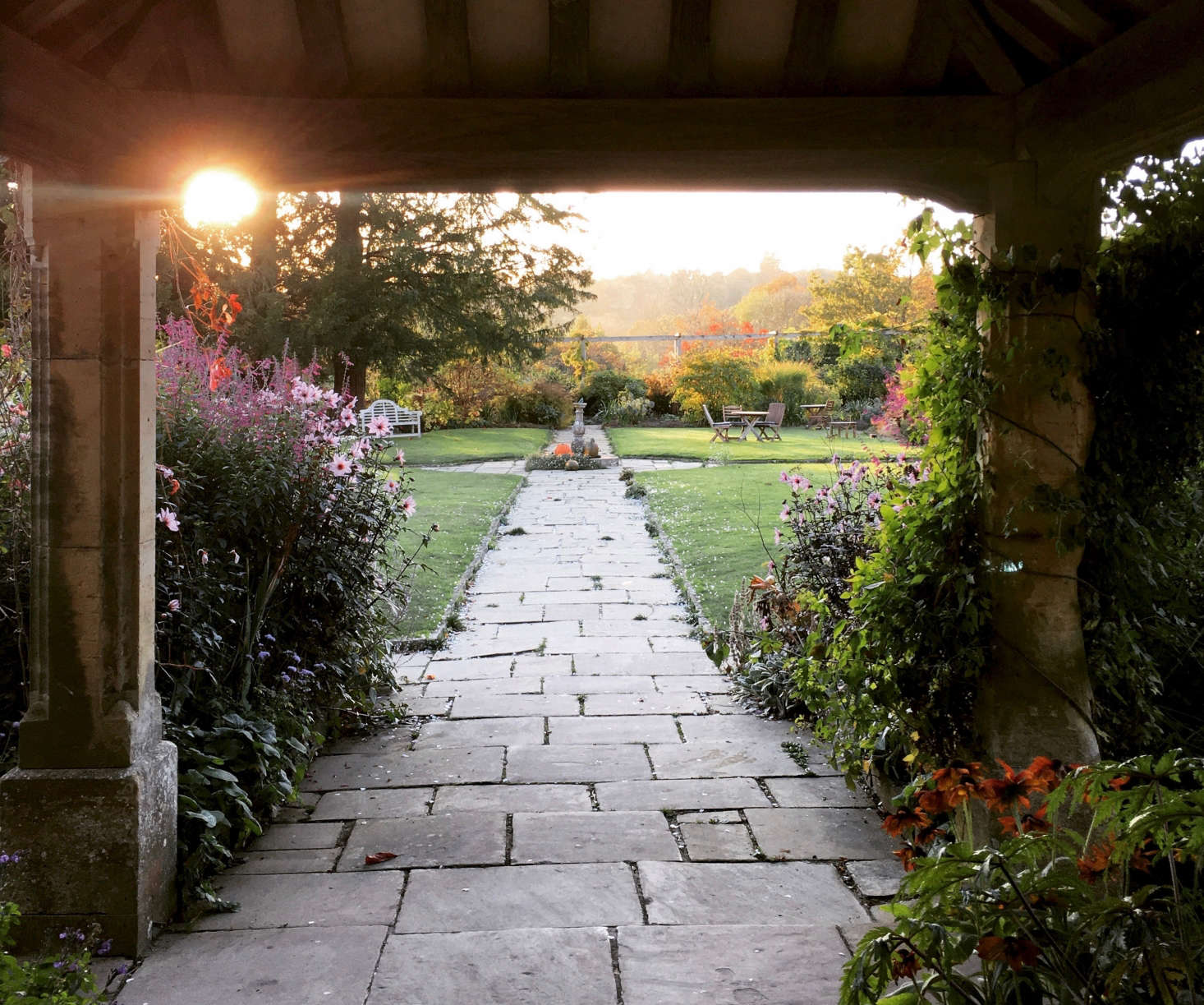 Saturated salvia shines in autumn’s low-angled light. At left, Salvia curviflora at Gravetye, with the dahlia ‘Magenta Star’.