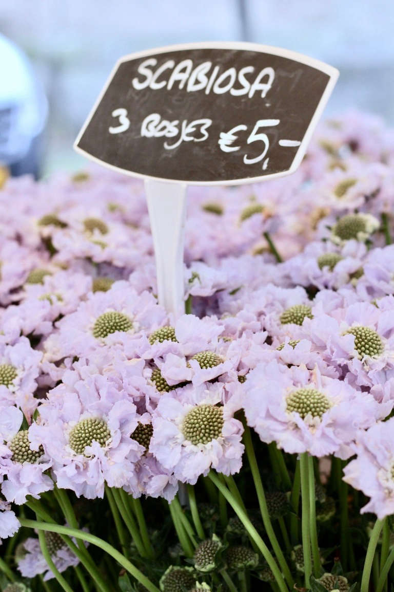 Shopper's Diary The Utrecht Flower Market Gardenista