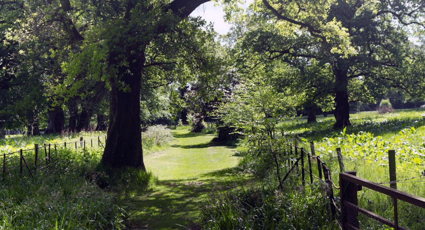Grounds at The Burn House. Photograph by Stu Smith via Flickr.